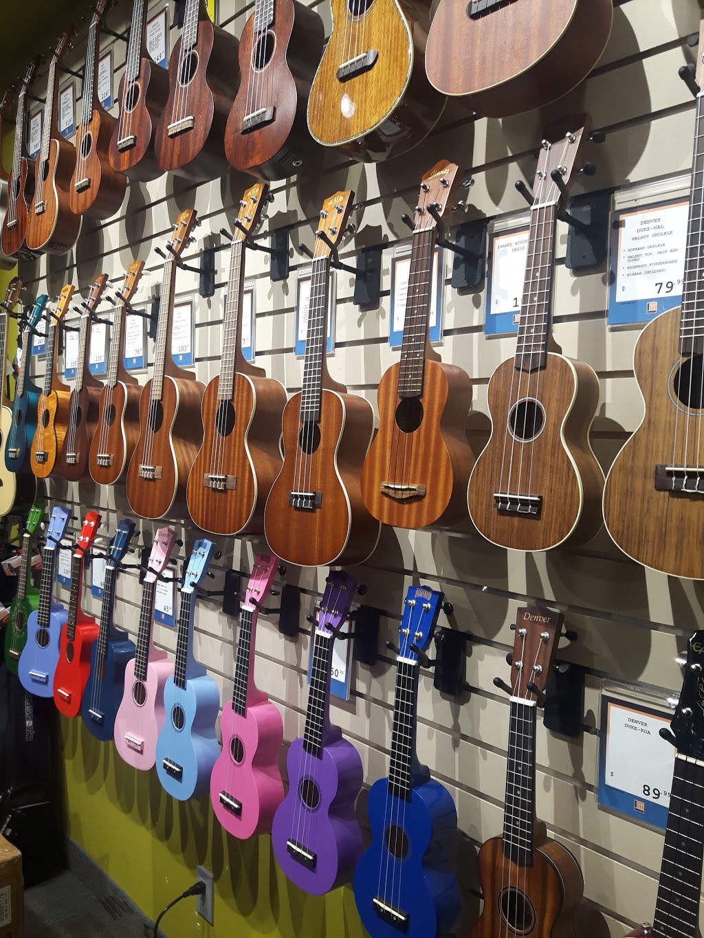 Long & McQuade Musical Instruments | 1360 Dominion Ave, Port Coquitlam, BC V3B 8G7, Canada | Phone: (604) 464-1011