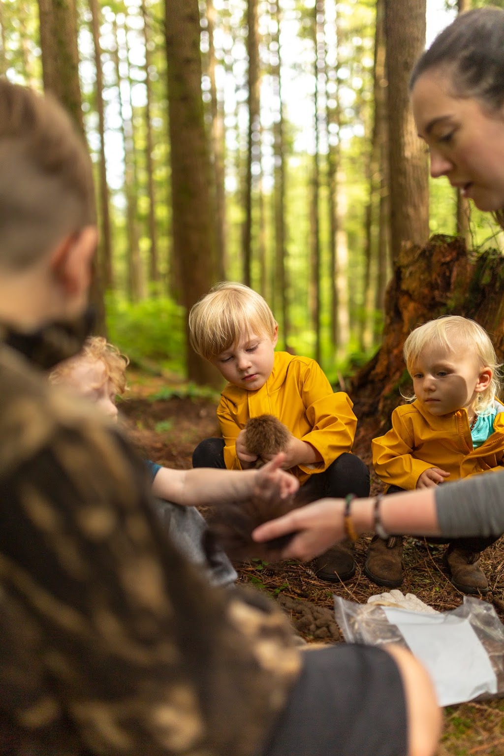 Wild & Immersive | 14500 Silver Valley Rd, Maple Ridge, BC V4R 2R3, Canada | Phone: (604) 463-8148