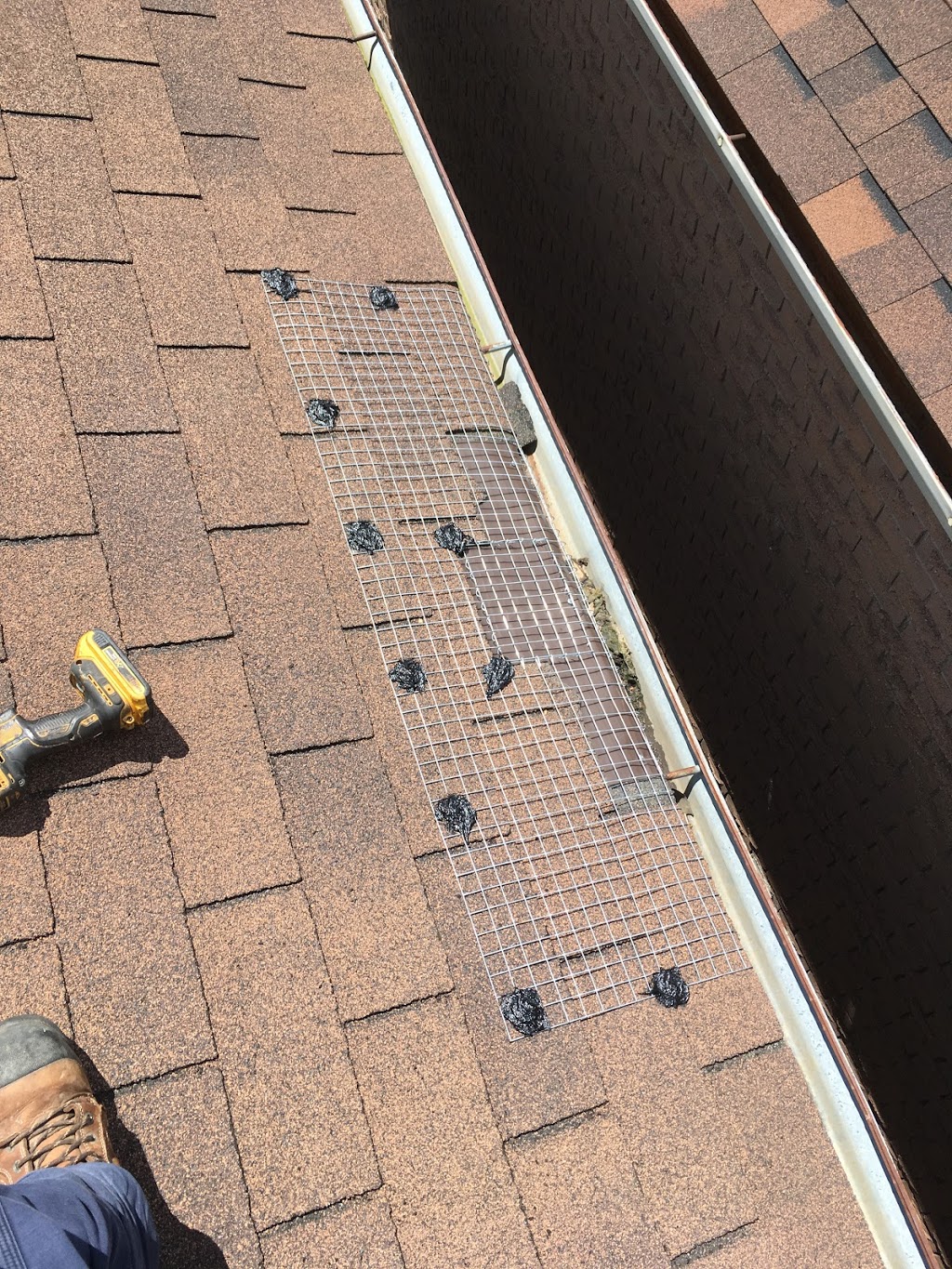 Craig Wildlife Control | 69 Lake Shore Dr #3, Etobicoke, ON M8V 1Z5, Canada | Phone: (416) 574-6356