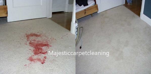 Majestic Carpet Cleaning Inc. | 7 Midmorning Rd, Brampton, ON L6P 1X6, Canada | Phone: (647) 937-4537