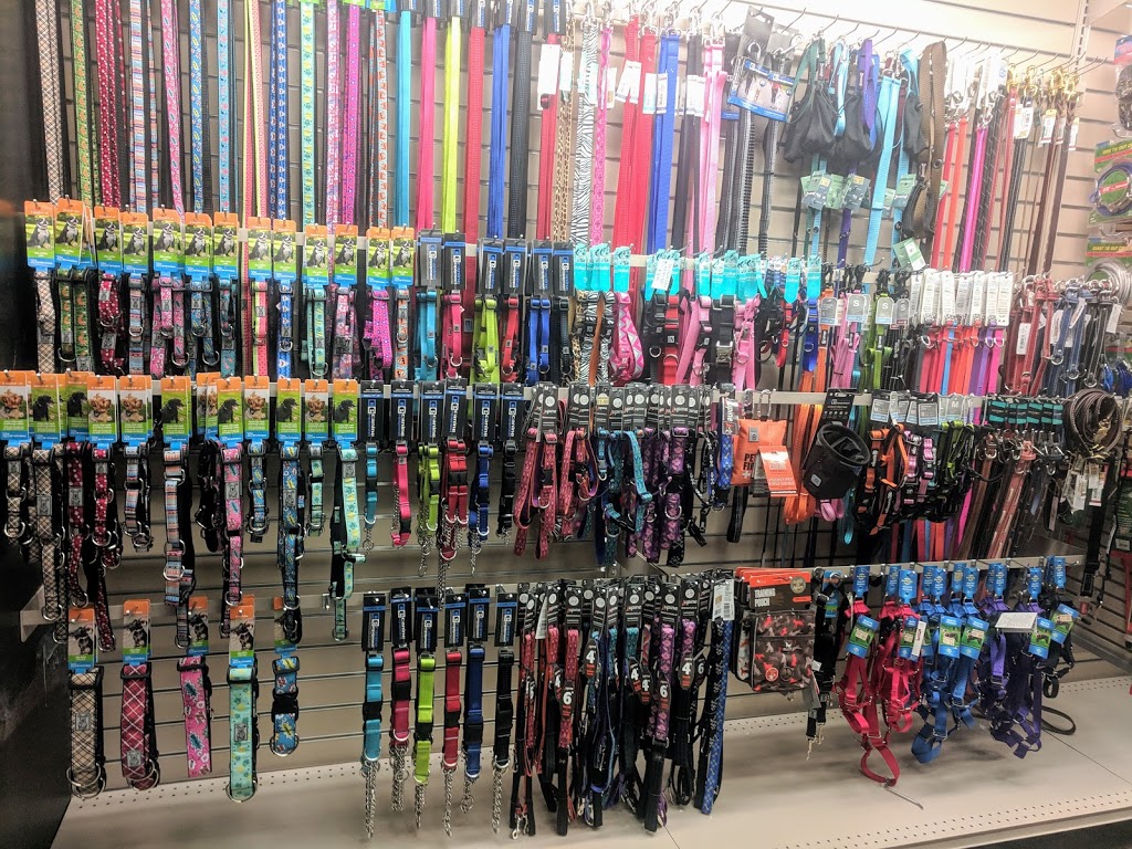 Global Pet Foods | Grange, 19 Victoria Rd N, Guelph, ON N1E 5G6, Canada | Phone: (519) 822-6922