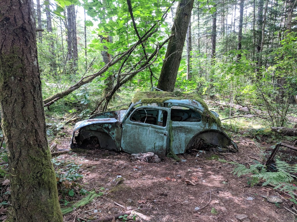 Francis/King Regional Park | Munn Rd, Saanich, BC V9E 1H7, Canada | Phone: (250) 360-3000
