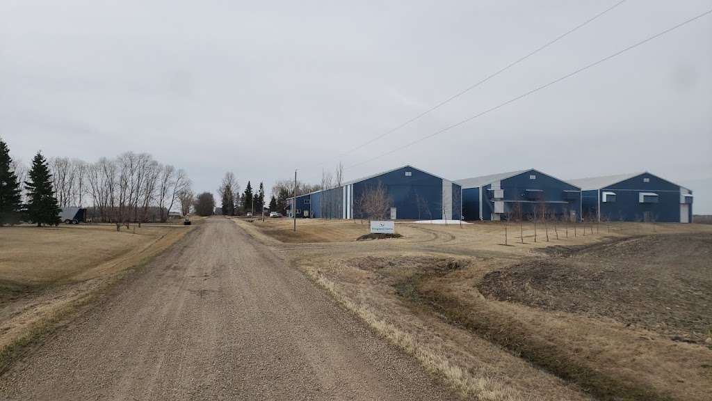 Hoogland Farms Ltd. | 47113 Range Rd 263, Falun, AB T0C 1H0, Canada | Phone: (780) 387-5315