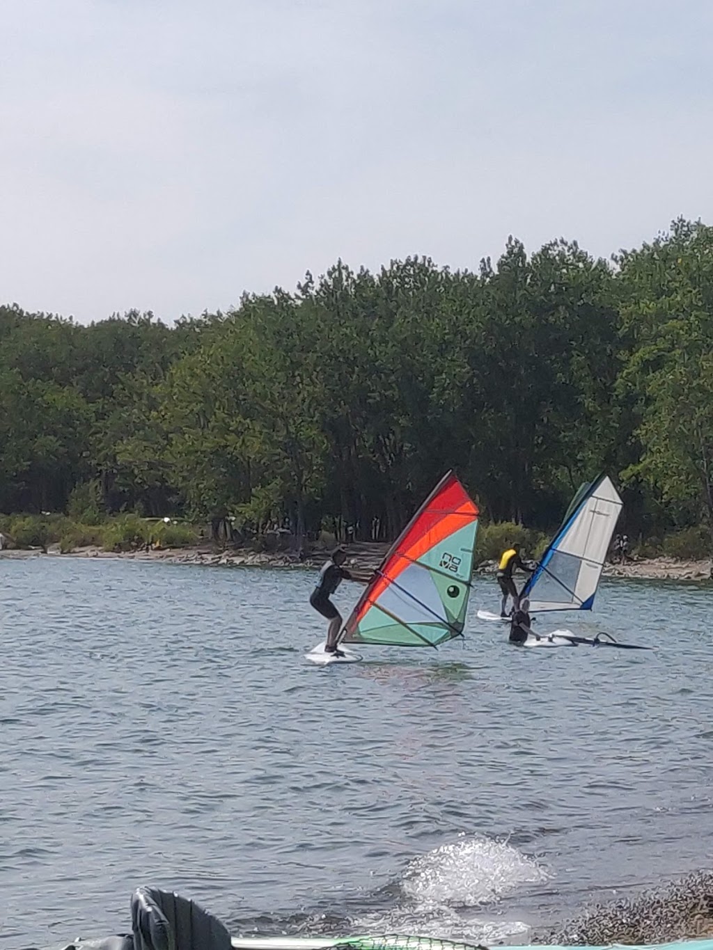 The Water Rat Sailing Club | 4 Regatta Rd, Toronto, ON M5A 0H0, Canada | Phone: (416) 712-7444