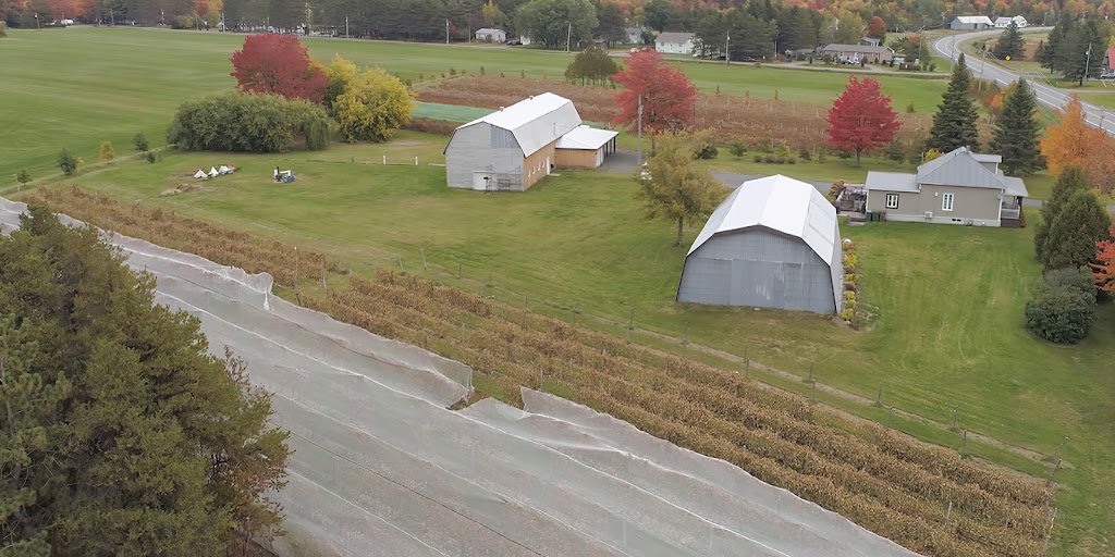 Vignoble Terre des Passions | 1218 QC-161, Saint-Valère, QC G0P 1M0, Canada | Phone: (418) 815-7572