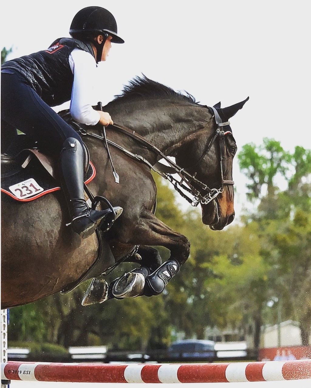 Carter Sport Horses | 670 Wilson Line, Cavan, ON L0A 1C0, Canada | Phone: (647) 913-5344