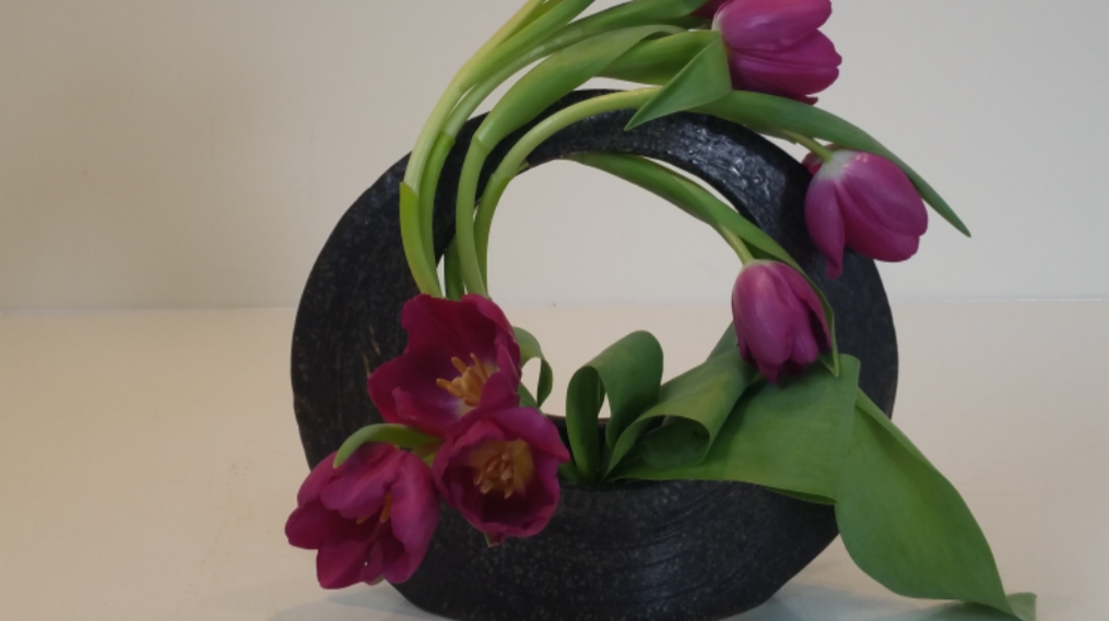 LAVENDER OF THE VALLEY FLORIST | 4 Hazelton Hill, Bedford, NS B4B 0M2, Canada | Phone: (902) 476-0575