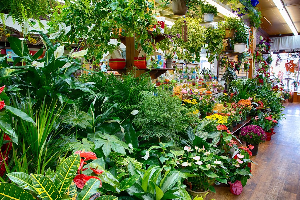 Fleuriste Le Bel Arôme | 614 4e Avenue Painchaud, La Pocatière, QC G0R 1Z0, Canada | Phone: (418) 856-2925