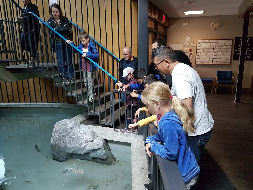 Fraser Valley Trout Hatchery & Visitor Centre | 34345 Vye Rd, Abbotsford, BC V2S 7P6, Canada | Phone: (604) 504-4716