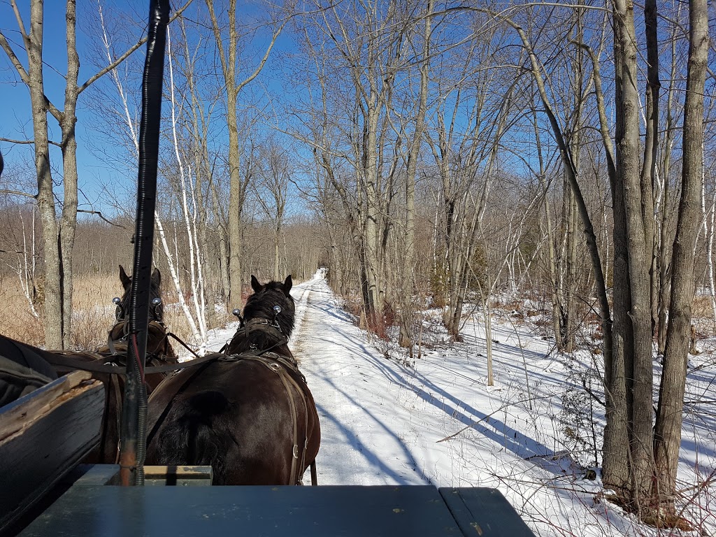 Mountsberg Conservation Area | 2259 Milburough Line, Campbellville, ON L0P 1B0, Canada | Phone: (905) 854-2276