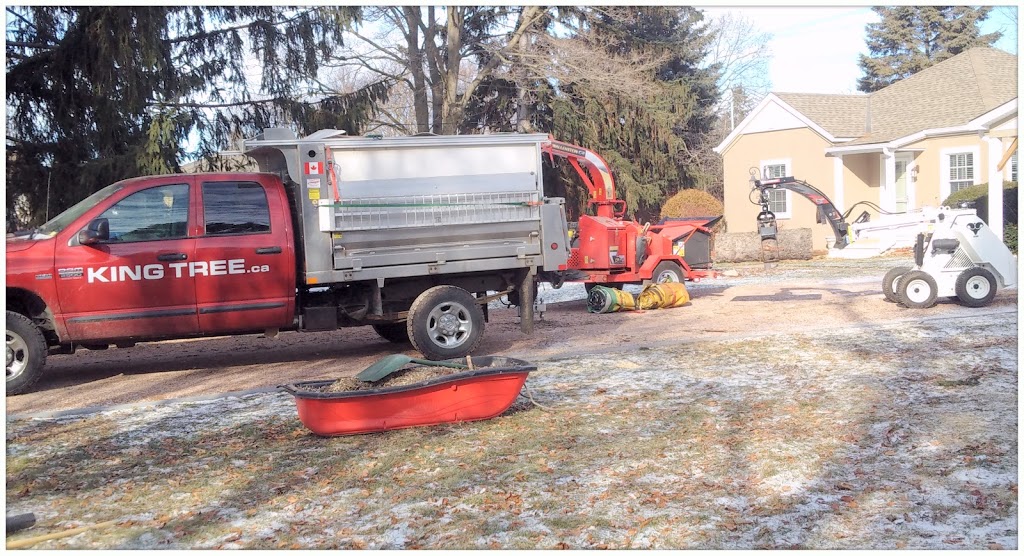 King Tree Service | 19 Dianne Ave, Cambridge, ON N1S 3J4, Canada | Phone: (519) 620-7165