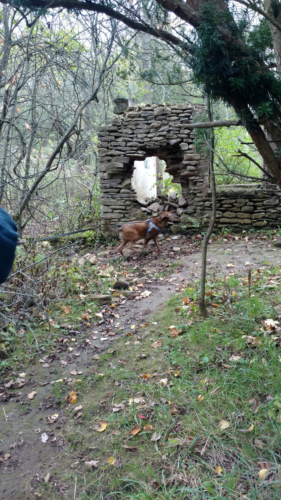 Niagara Royalton Ravine Park | Gasport Rd, Gasport, NY 14067, USA | Phone: (716) 772-2016
