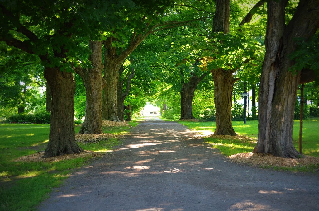 Stanleys Olde Maple Lane Farm | 2452 Yorks Corners Rd, Edwards, ON K0A 1V0, Canada | Phone: (613) 821-2751