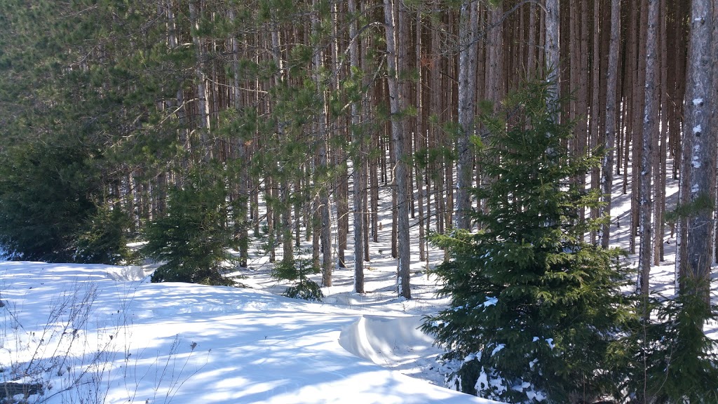 Conservation Lands | Loretto, ON L0G 1L0, Canada | Phone: (416) 661-6600