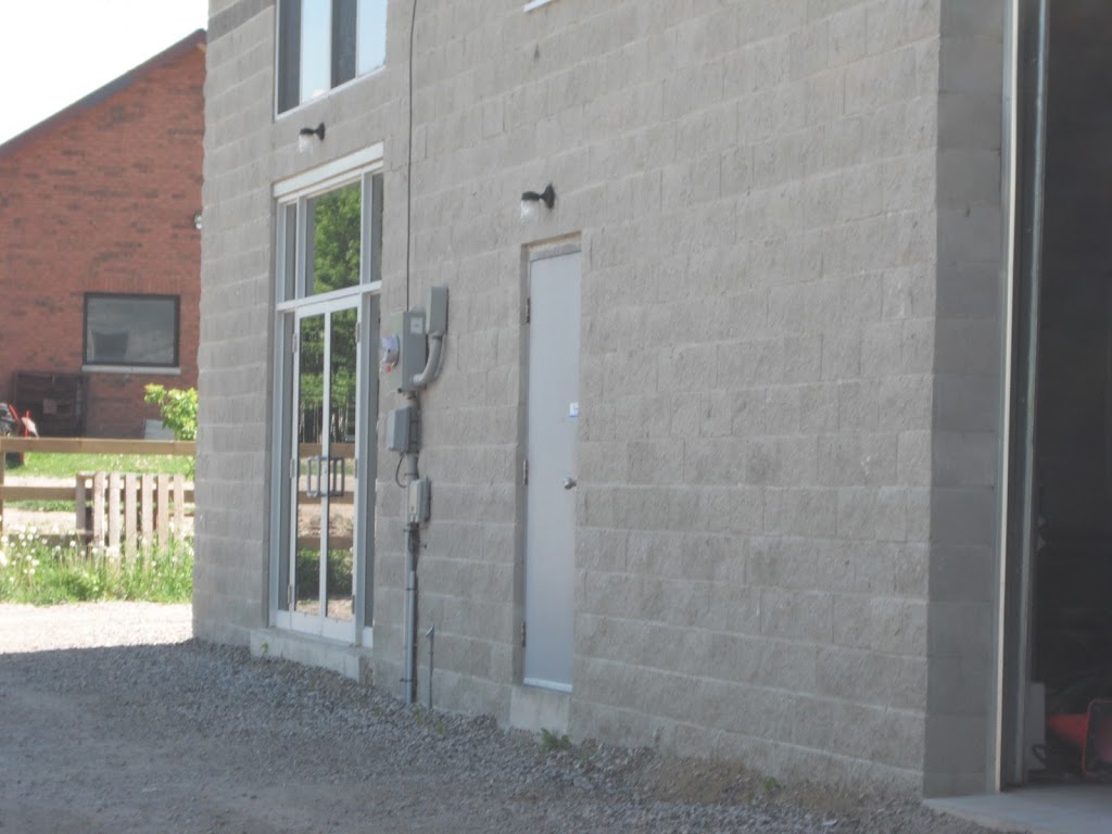 Mystical Knights | 502 Aleah Crescent, Keswick, ON L4P 1X5, Canada | Phone: (289) 231-6714