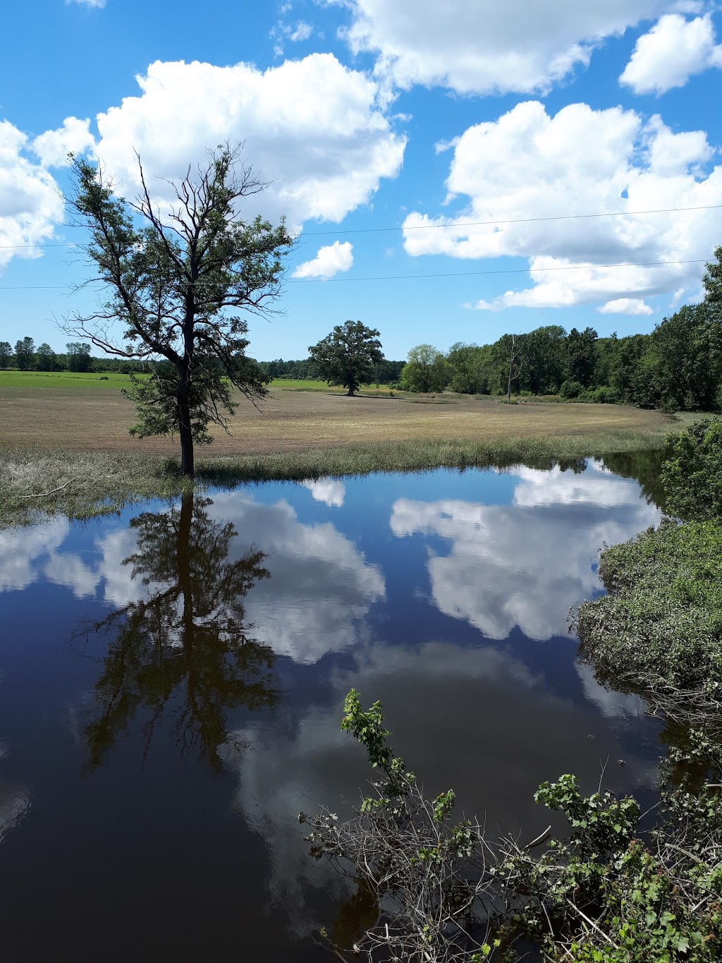 Aquatic Well Drilling | 37 Union St N, Walkerton, ON N0G 2V0, Canada | Phone: (519) 392-6470