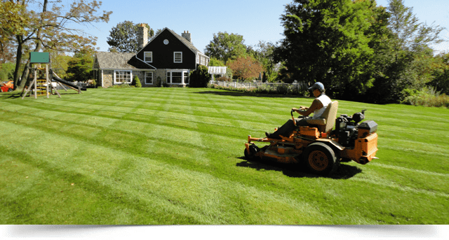 Tonte Experts | 138 Rue Routhier, Magog, QC J1X 5Y9, Canada | Phone: (819) 342-7604