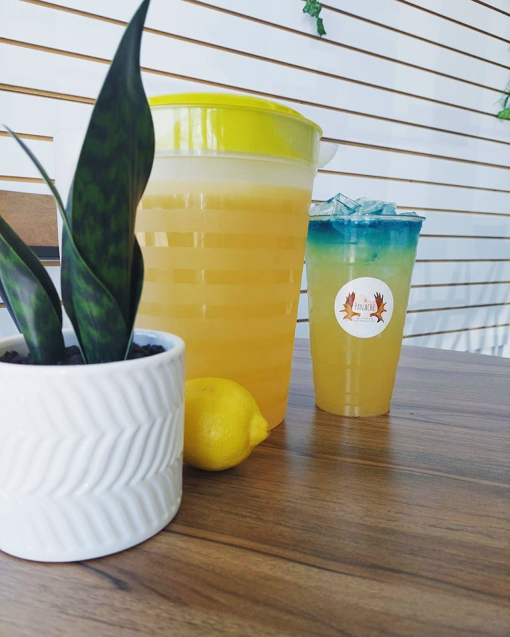 Le Panache boissons & gourmandises | 71 Rue Wellington, Coaticook, QC J1A 2H6, Canada | Phone: (819) 804-0650