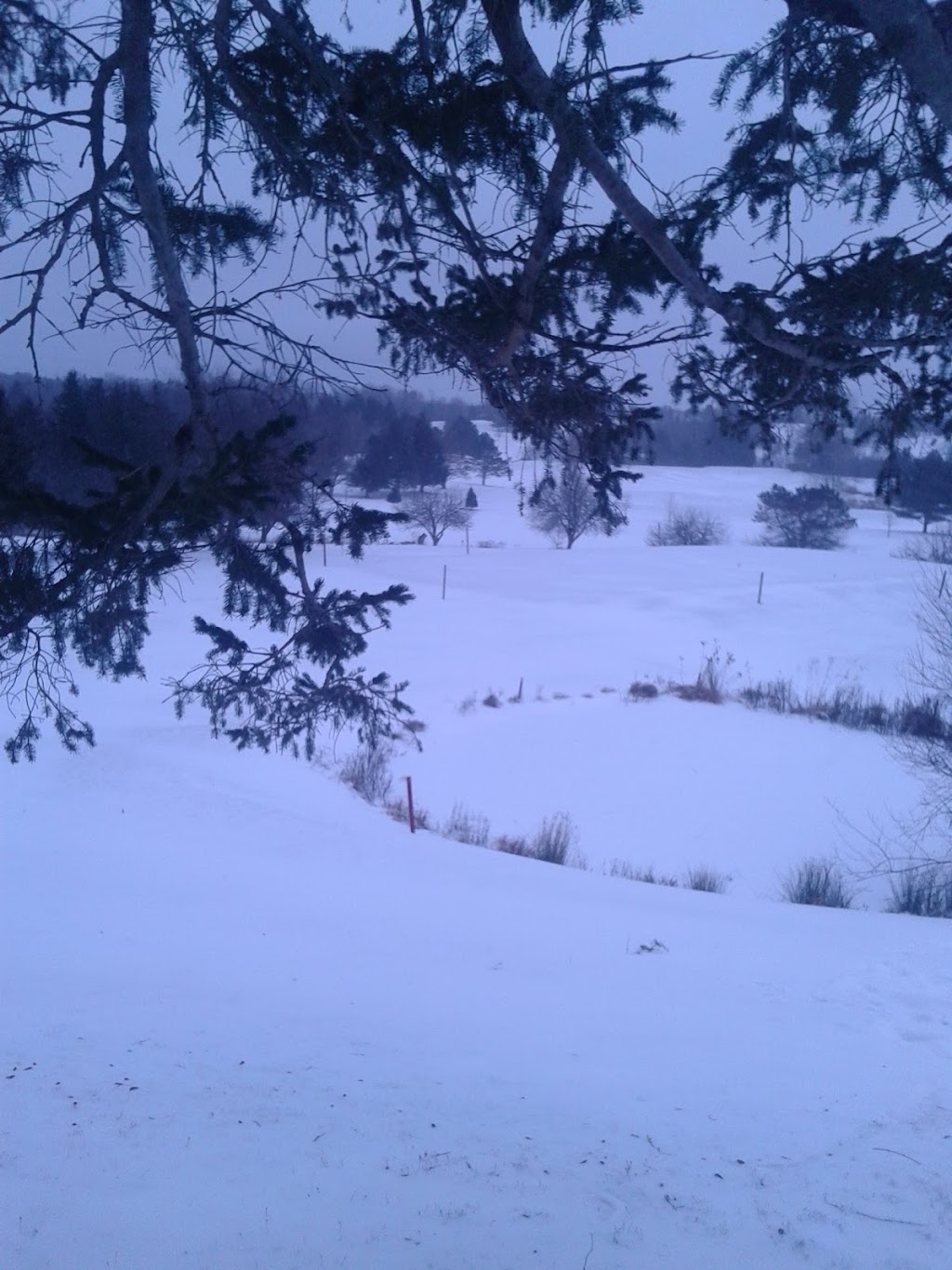 Avon Valley Golf & Country Club | 595 Falmouth Back Rd, Falmouth, NS B0P 1L0, Canada | Phone: (902) 798-2673