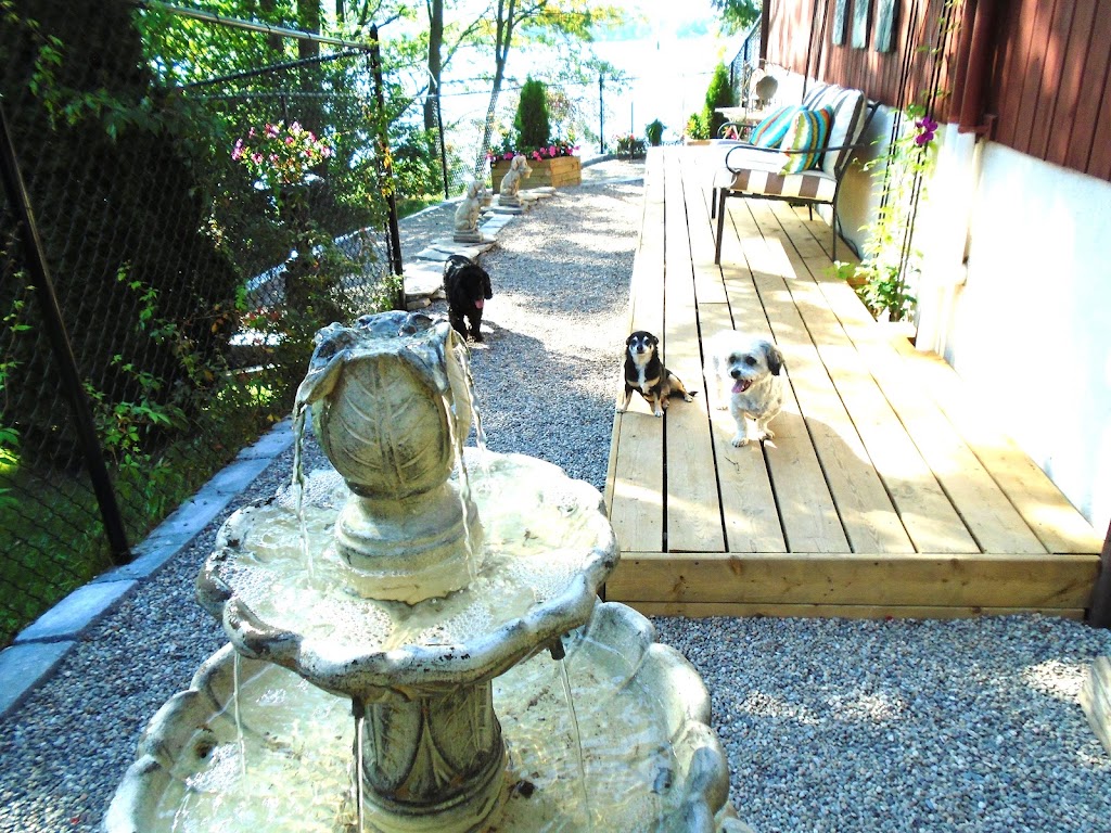 Our Dog Spot | 101 Hollands Rd, Greater Napanee, ON K7R 3K8, Canada | Phone: (613) 354-7682