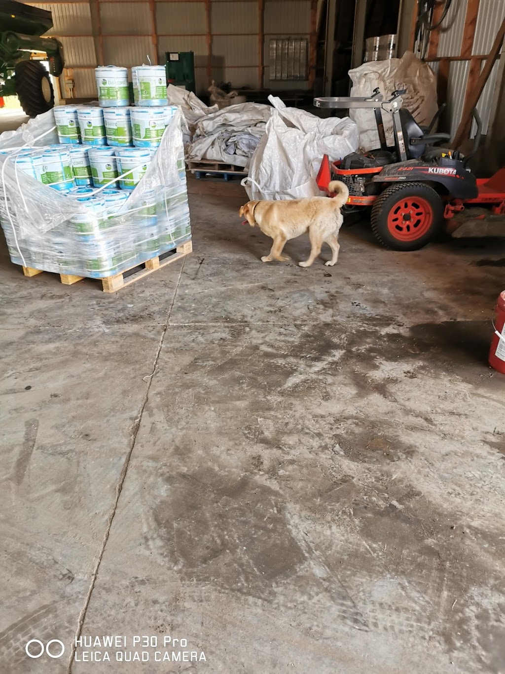 Field and Flock Farms | 50292 Vienna Line RR2, Aylmer, ON N5H 2R2, Canada | Phone: (519) 765-1005