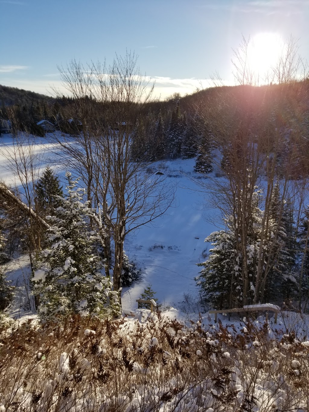 Chalet des Primevères CITQ #295815 | 156 Chemin du Marais, Saint-Adolphe-dHoward, QC J0T 2B0, Canada | Phone: (579) 914-0347