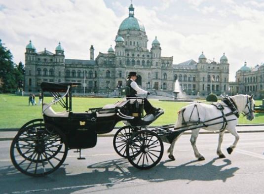 Victoria Brewery & Winery Tour | 6698 Rey Rd, Victoria, BC V8Y 1V2, Canada | Phone: (250) 857-2415