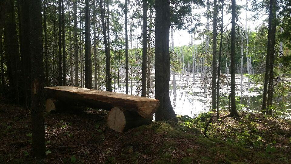 Happy Trails Construction | 2783 Contau Lake Rd, Gooderham, ON K0M 1R0, Canada | Phone: (705) 455-2980