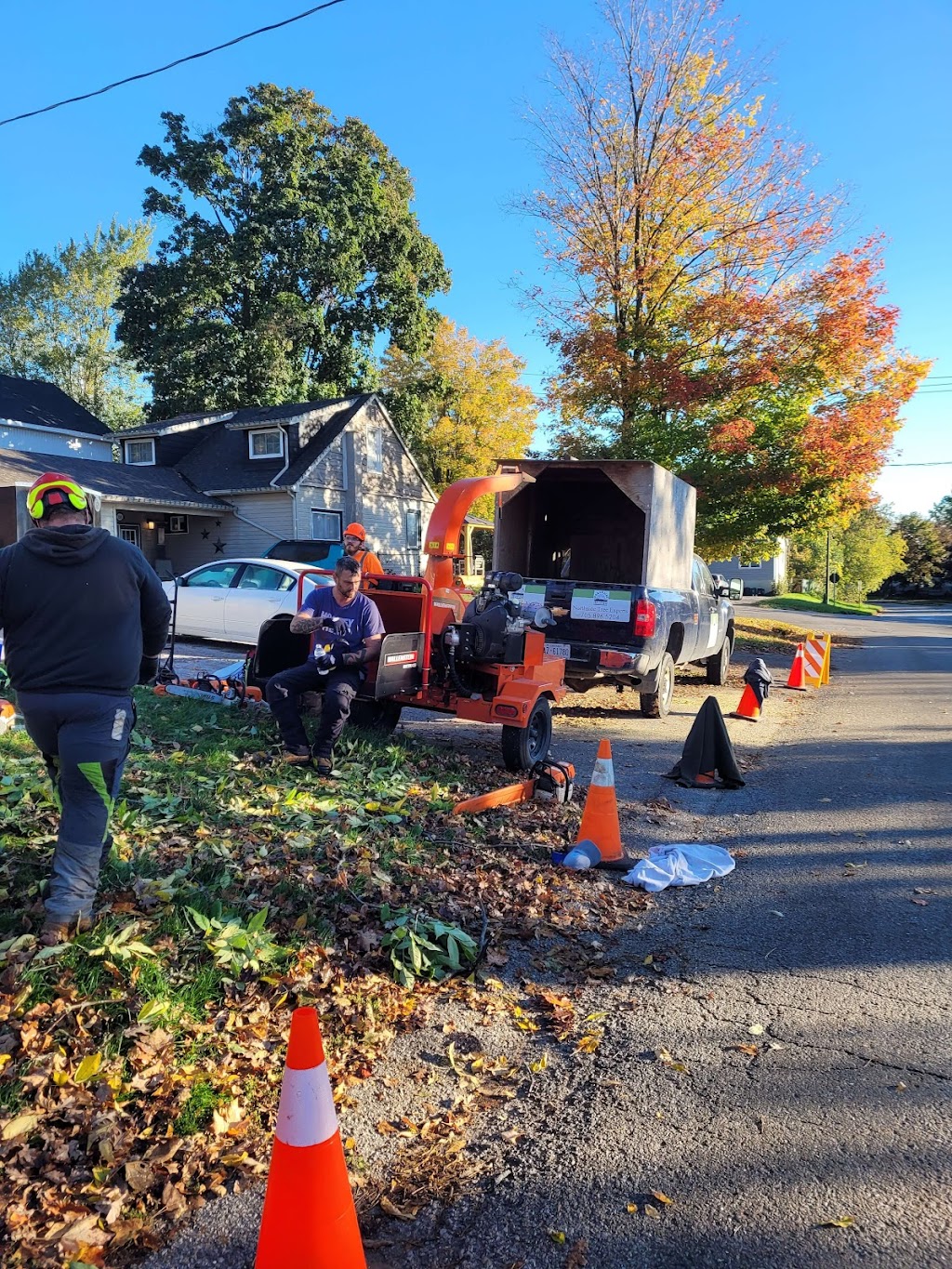 Northside Tree Experts | 64 Scott St, Orillia, ON L3V 4R4, Canada | Phone: (705) 896-5204