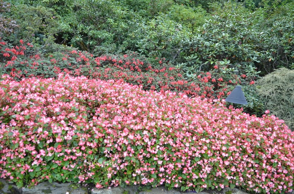Rose Garden | Brentwood Bay, BC V8M 1A6, Canada