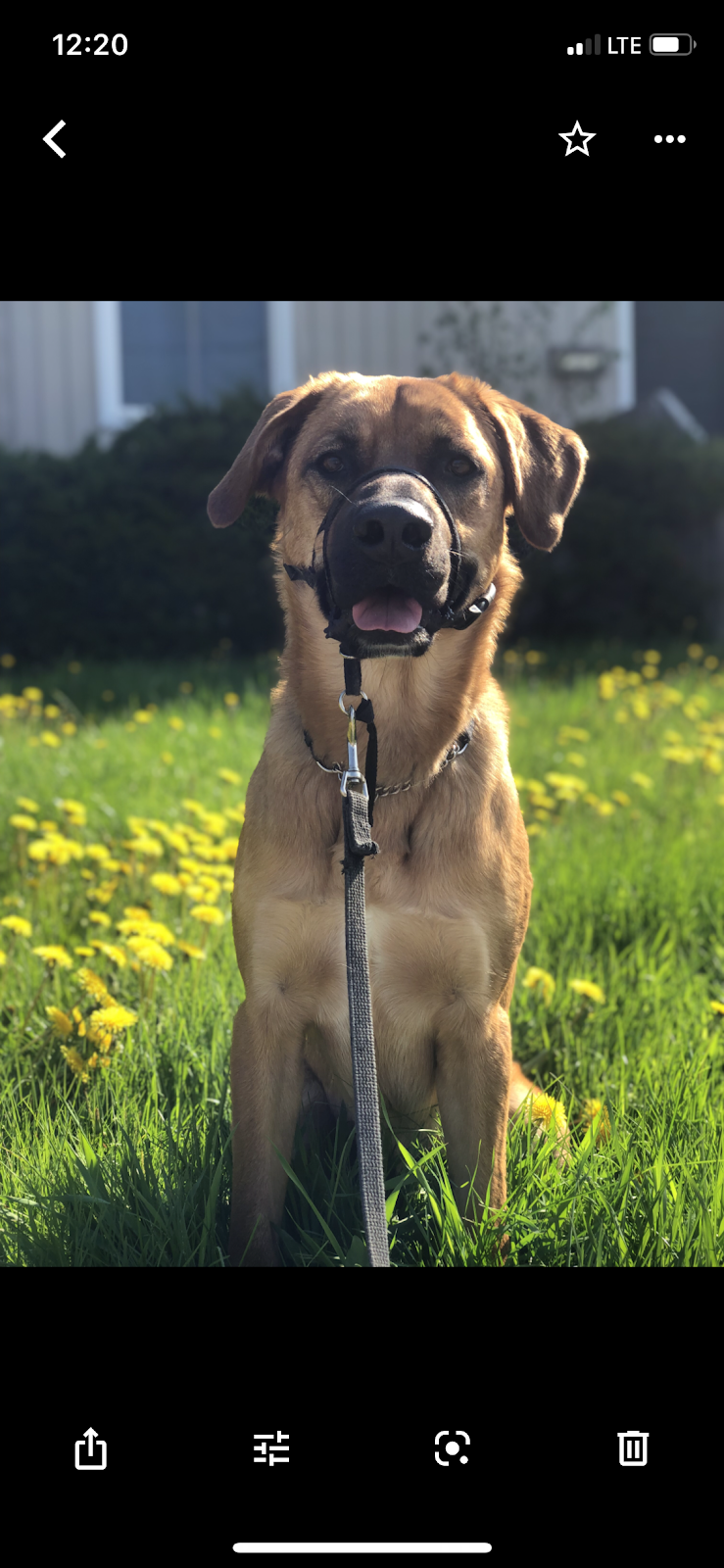 Suburban Paws Canine Training and Enrichment Centre | 2057 Royal Windsor Dr, Mississauga, ON L5J 1K5, Canada | Phone: (905) 855-2656