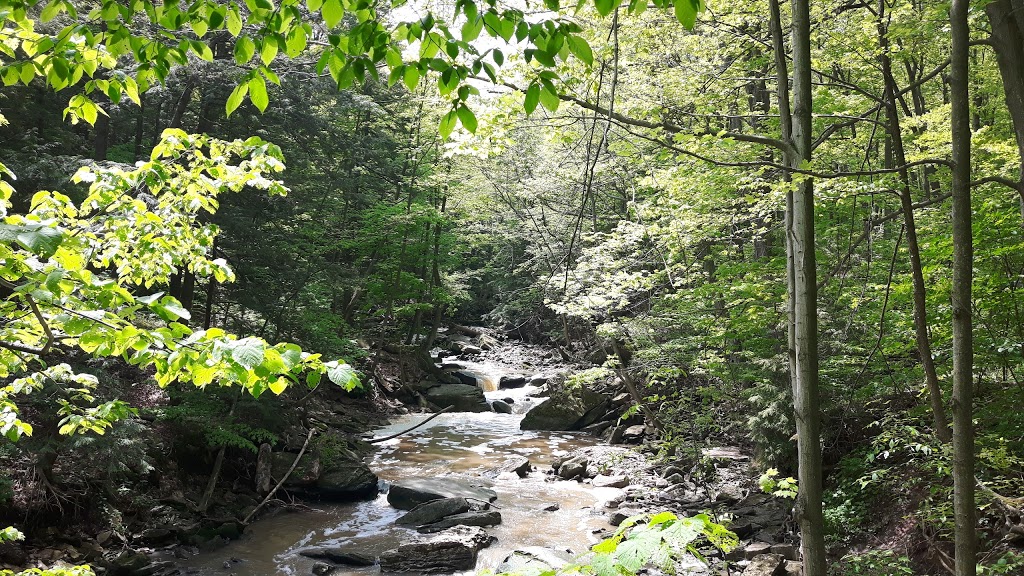 Trail Head- Bruce Side Trail | 4E7, Bruce Trail, Grimsby, ON L3M 3K1, Canada