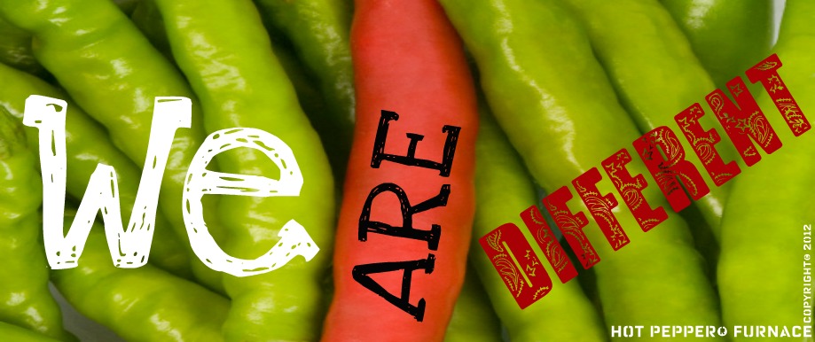 HOT PEPPER FURNACE & DUCT CLEANING | 2350 Baywater Cres, Airdrie, AB T4B 0T4, Canada | Phone: (403) 888-2000
