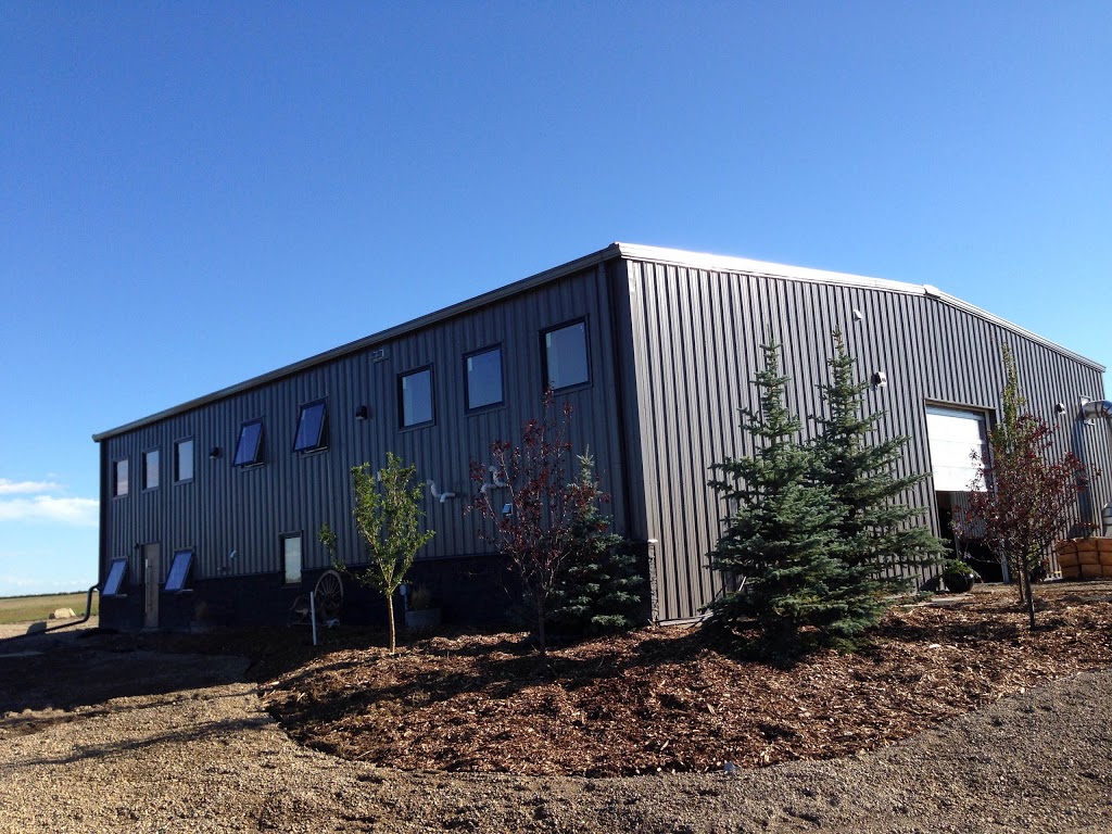 Energy Equine Veterinary | 281056 Dickson Stevenson Trail, Rocky View No. 44, AB T4B 4L5, Canada | Phone: (403) 700-0818