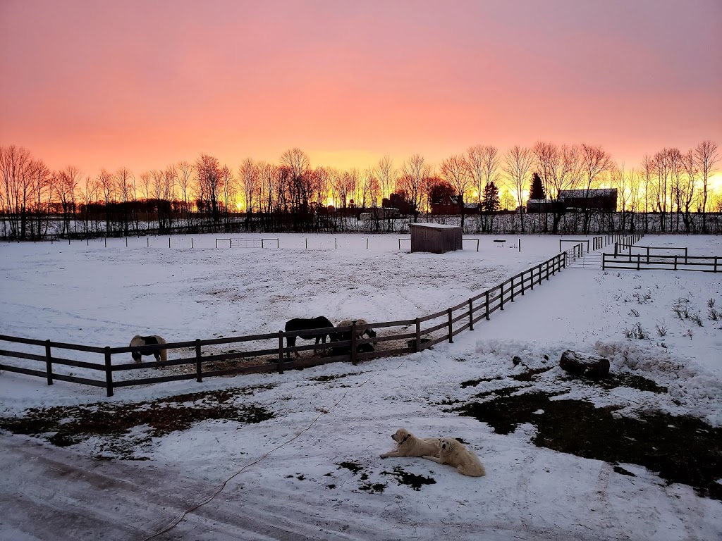 Serenity Rising | 6414 Line 3 North, Midland, ON L4R 4K3, Canada | Phone: (705) 305-9932