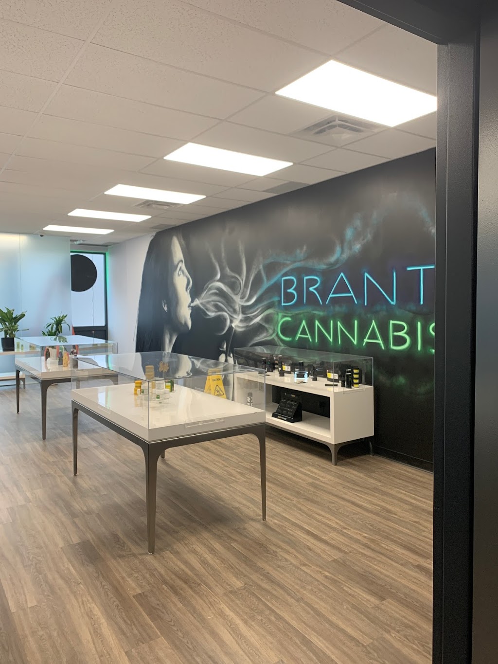 Brant Cannabis | 168 Charing Cross St unit b, Brantford, ON N3R 2J4, Canada | Phone: (519) 304-5420