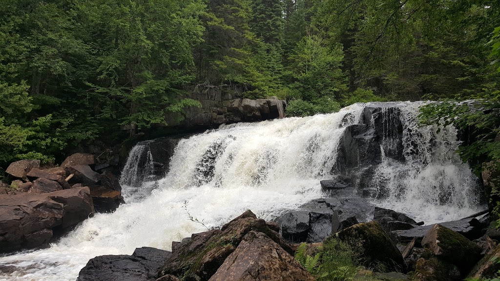 Wildlife Mastigouche | Rang des Pins-Rouges, Saint-Alexis-des-Monts, QC J0K 1V0, Canada | Phone: (800) 665-6527