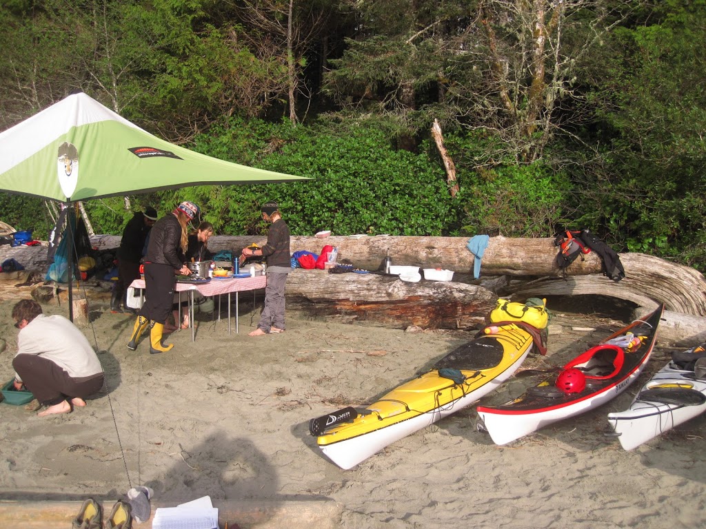 Blue Dog Kayaking | 740 Handy Rd, Mill Bay, BC V0R 2P1, Canada | Phone: (250) 710-7693