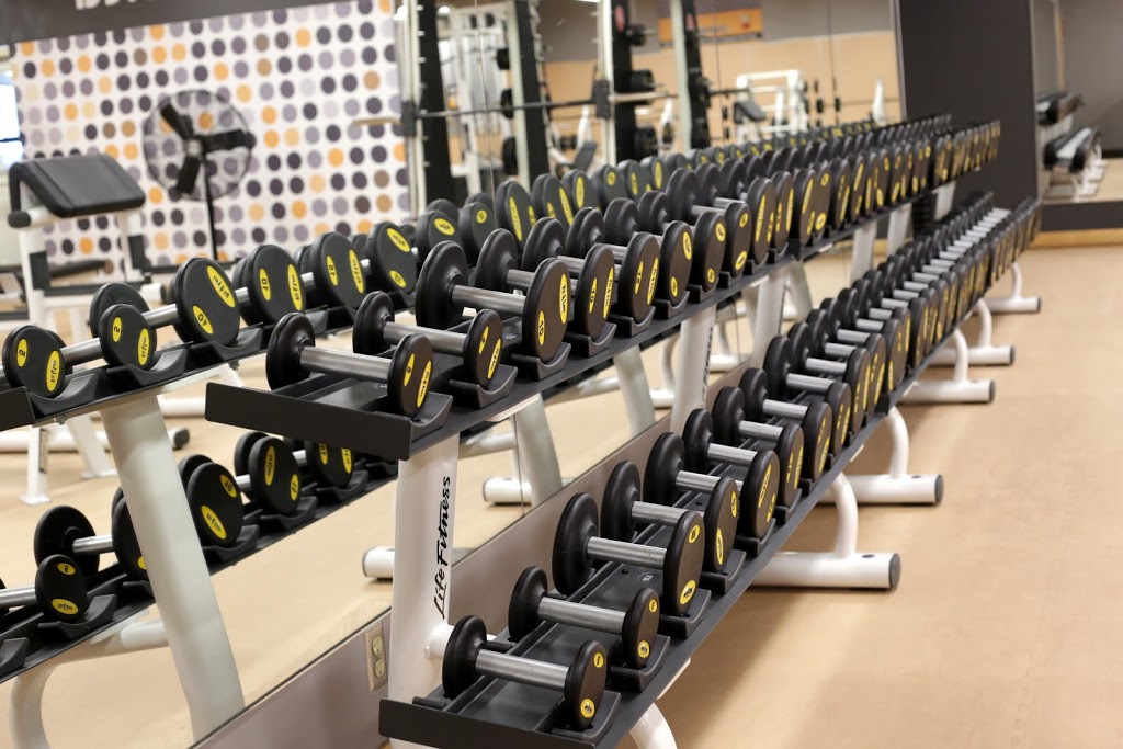 Fit4Less | 18120 Yonge St, East Gwillimbury, ON L3Y 4V8, Canada | Phone: (905) 898-1303