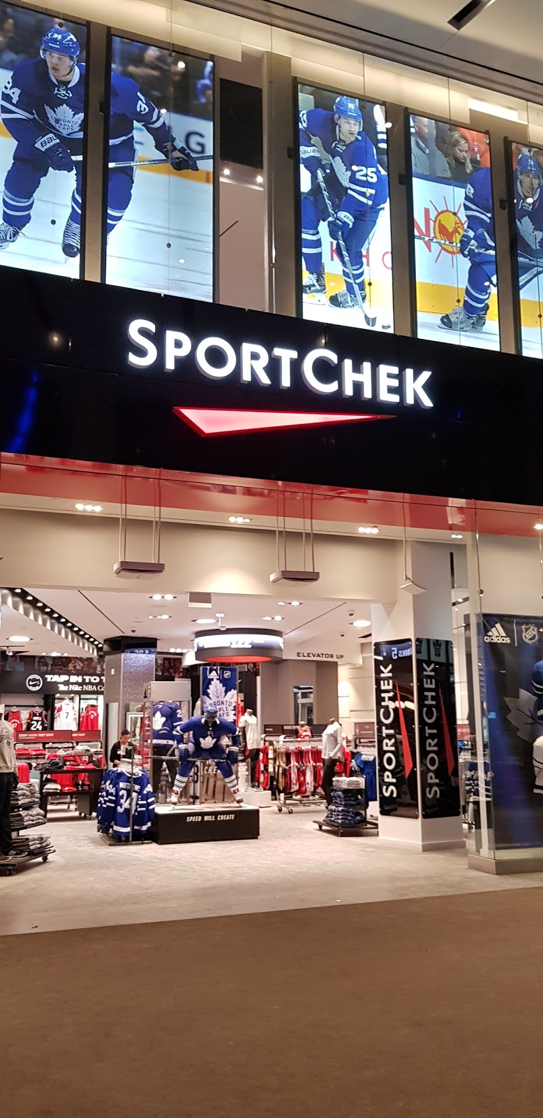 bicycle sport chek