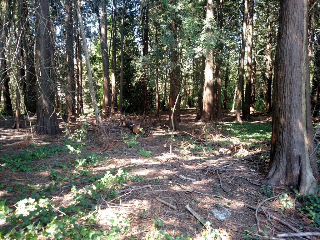 lubbocks woods park | 7803 Burris St, Burnaby, BC V5E 3M9, Canada