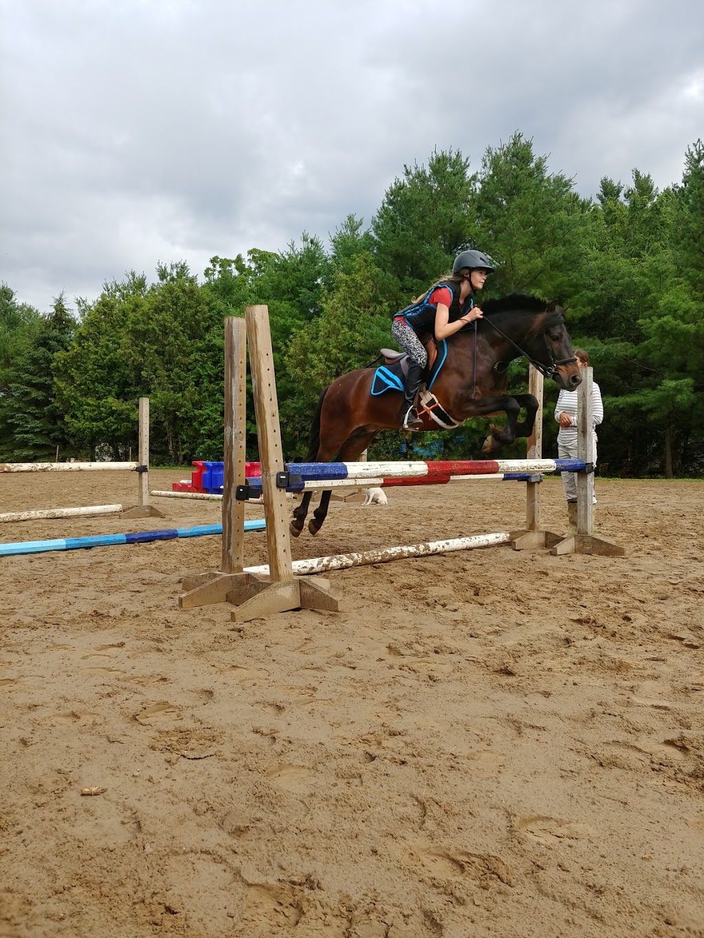 Sprucehaven Farm | 343279 Ebenezer Rd, Mount Elgin, ON N0J 1N0, Canada | Phone: (519) 318-2722