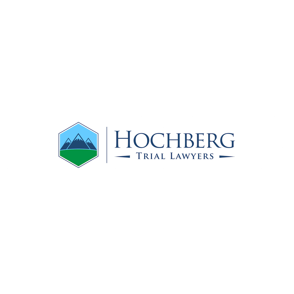 Lenny Hochberg, Lawyer | 42 Dufflaw Rd, North York, ON M6A 2W1, Canada | Phone: (416) 524-8321