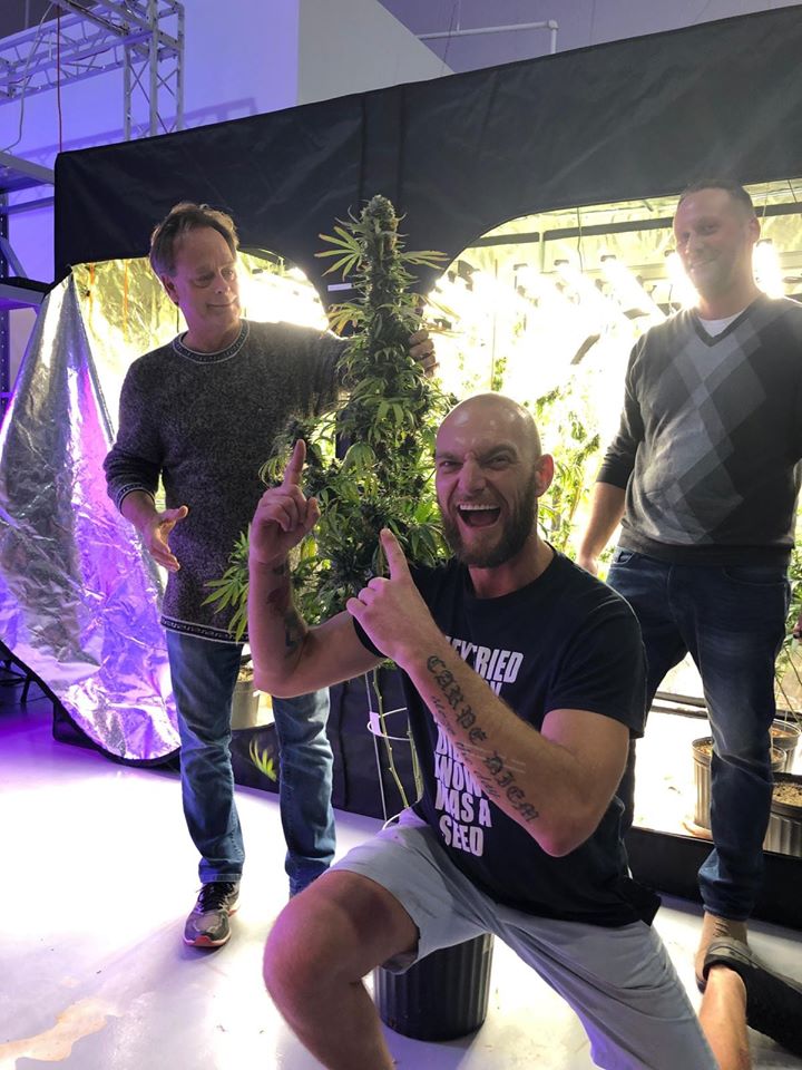 AI Grow Light | 6 Shields Ct unit #4, Markham, ON L3R 4S1, Canada | Phone: (416) 576-2766