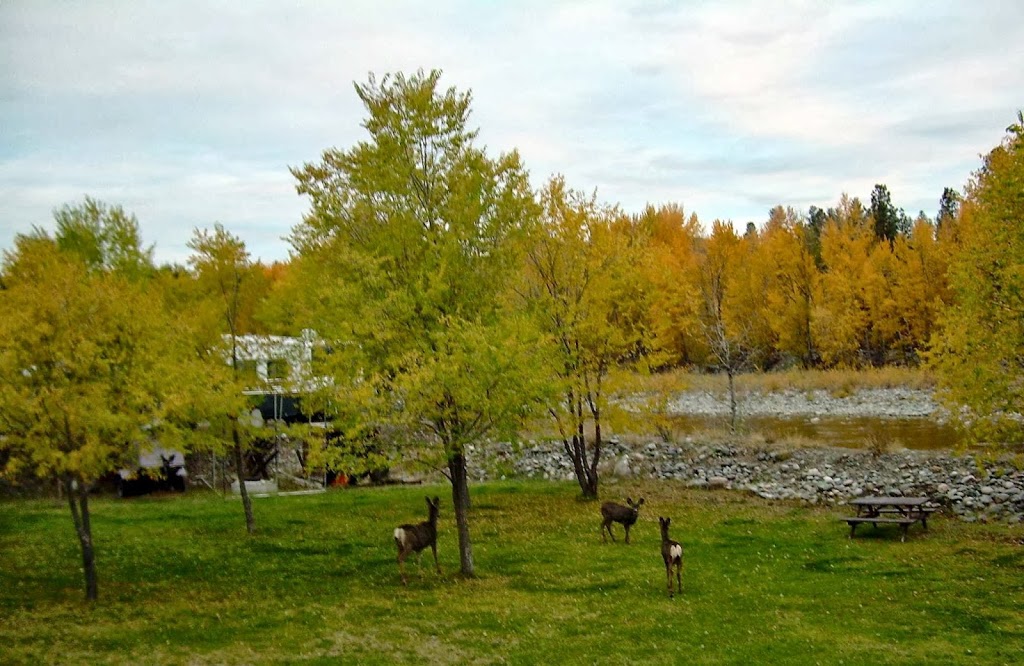 Rivers Edge RV Park | 305 Sanderson Way, Princeton, BC V0X 1W0, Canada | Phone: (250) 295-6568