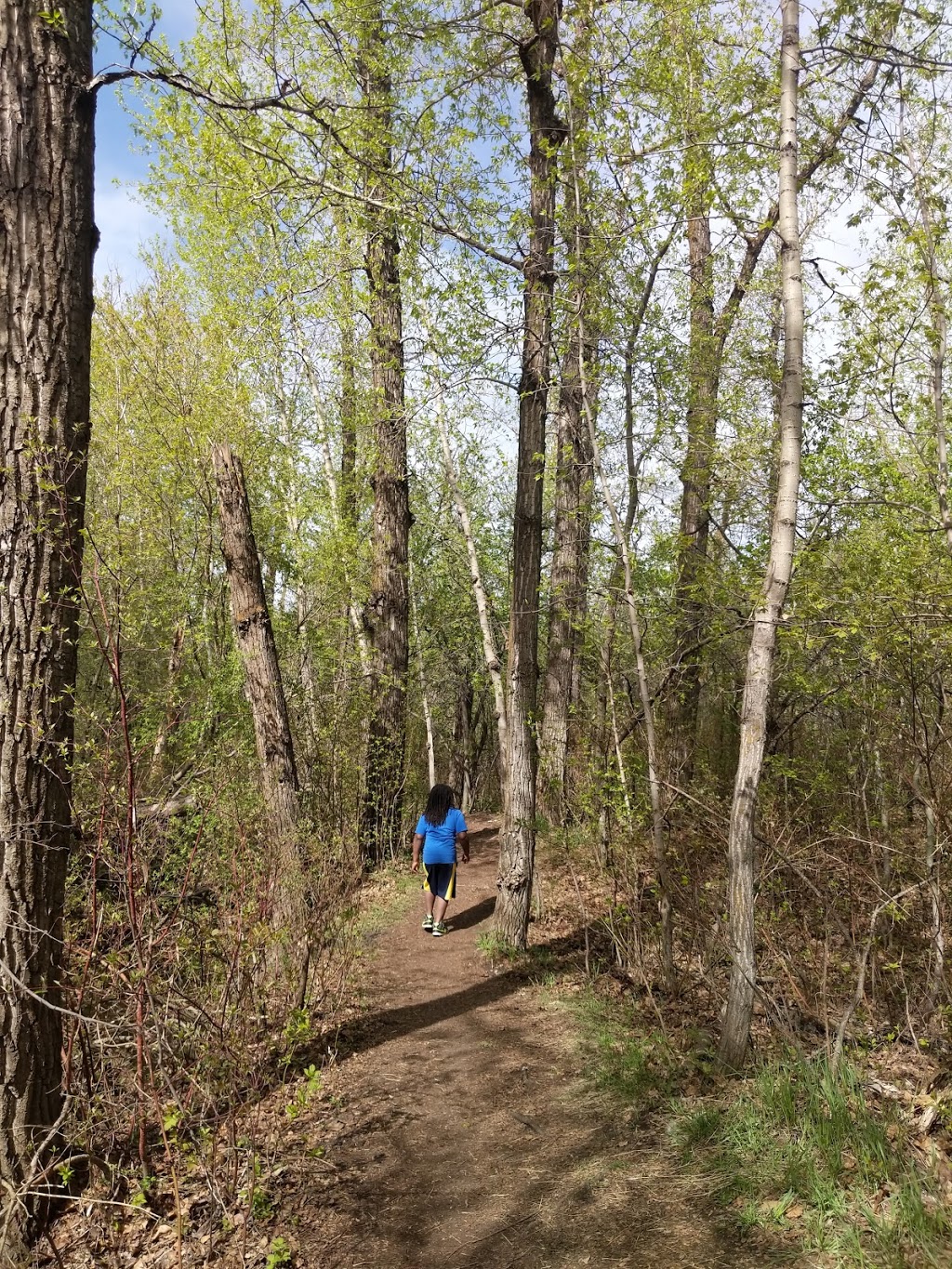 Jackie Parker Off-Leash Dog Park | AB-14, Edmonton, AB T6L 6B6, Canada