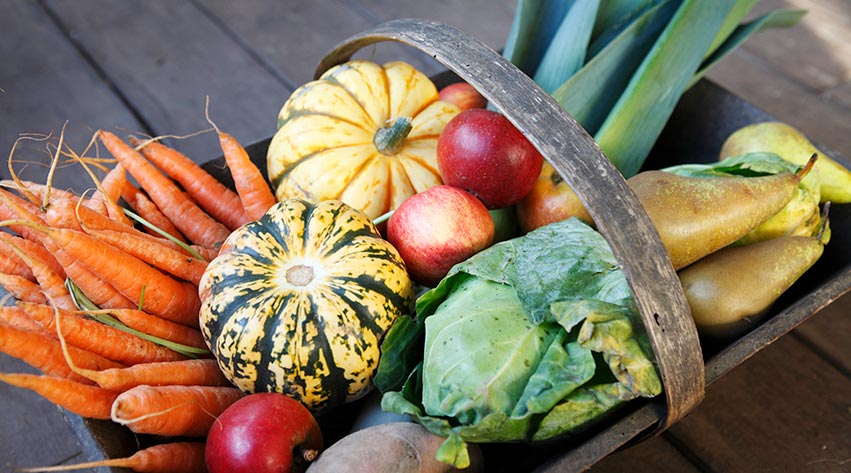 Barefoot Living | 386 Sills Rd, Stirling-Rawdon, ON K0K 3E0, Canada | Phone: (613) 920-2509