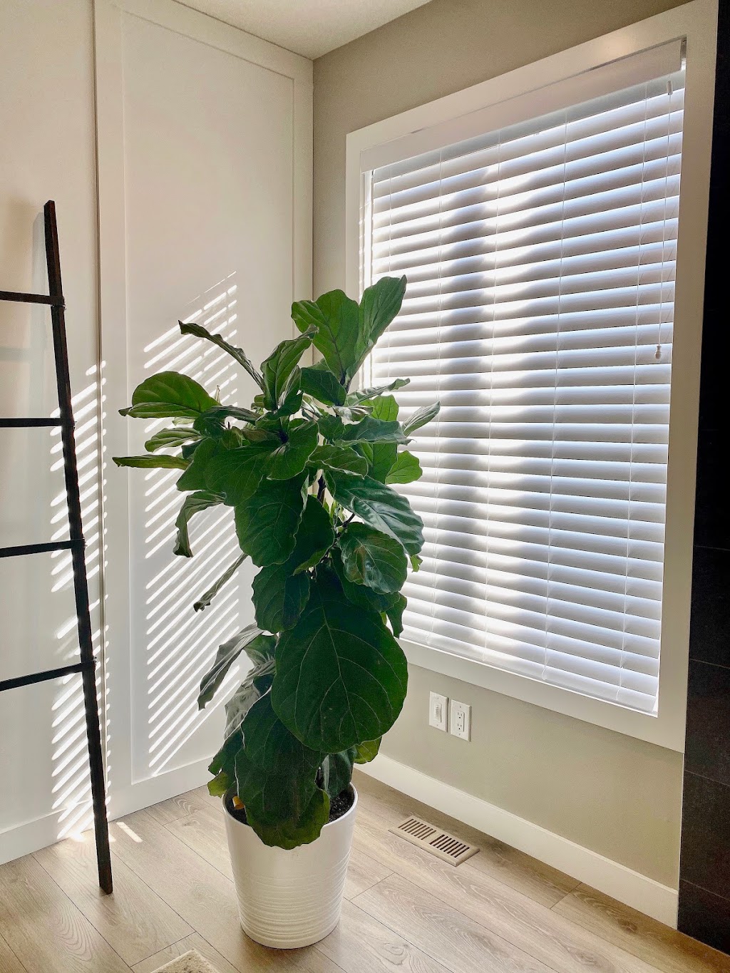 CC Blinds & Design | 744 Whiston Ct NW, Edmonton, AB T6M 2H6, Canada | Phone: (780) 232-6036
