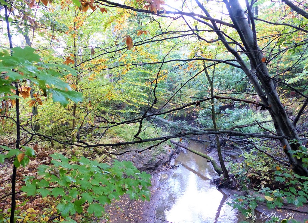 Plein Air Ville-Joie | 11441 Rue Notre Dame O, Trois-Rivières, QC G9B 6W5, Canada | Phone: (819) 377-3987