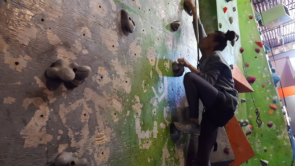 Vertical Adventures | 77 Paramount Rd, Winnipeg, MB R2X 2W6, Canada | Phone: (204) 632-5001